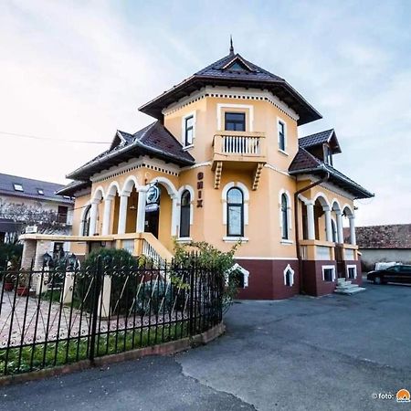 Pensiunea Onix Фэгэраш Экстерьер фото