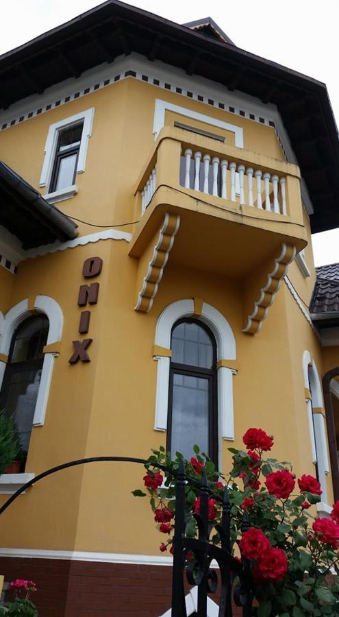 Pensiunea Onix Фэгэраш Экстерьер фото