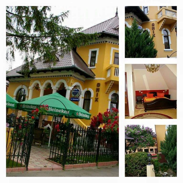 Pensiunea Onix Фэгэраш Экстерьер фото