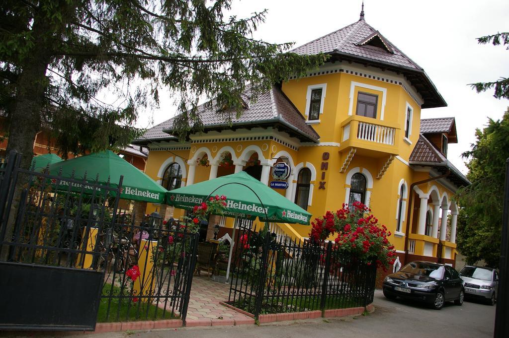 Pensiunea Onix Фэгэраш Экстерьер фото
