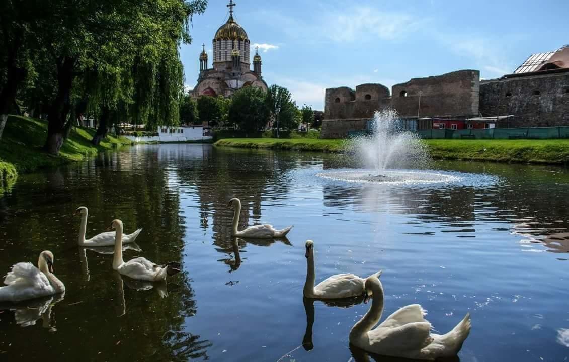 Pensiunea Onix Фэгэраш Экстерьер фото