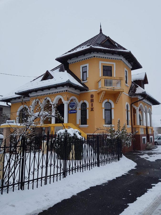 Pensiunea Onix Фэгэраш Экстерьер фото